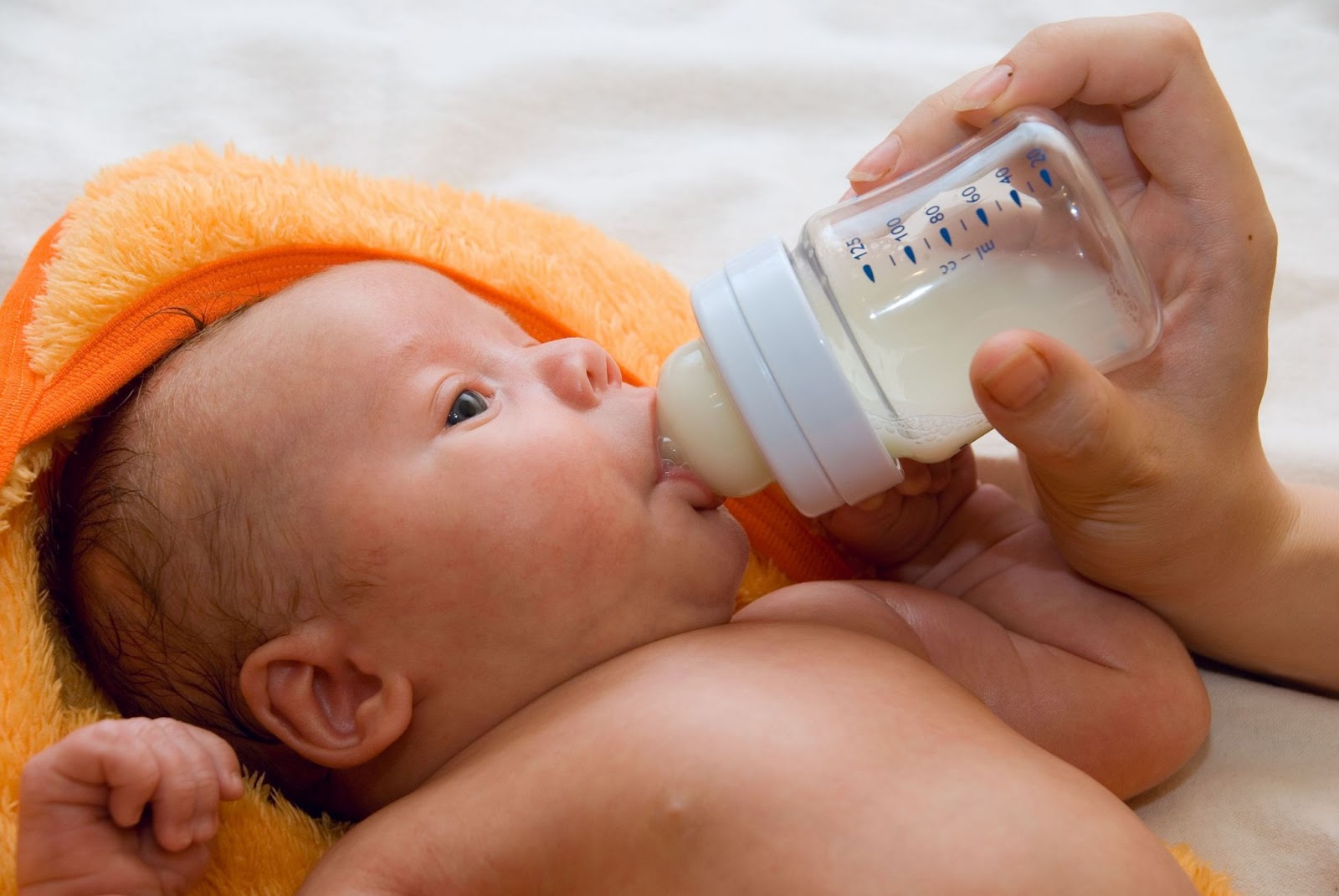 ¿Cómo proceder frente a una demanda por alimentos?