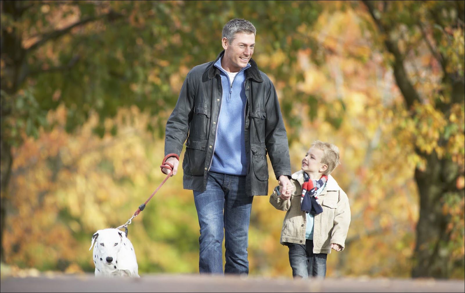 Demanda de alimentos de menores en Colombia